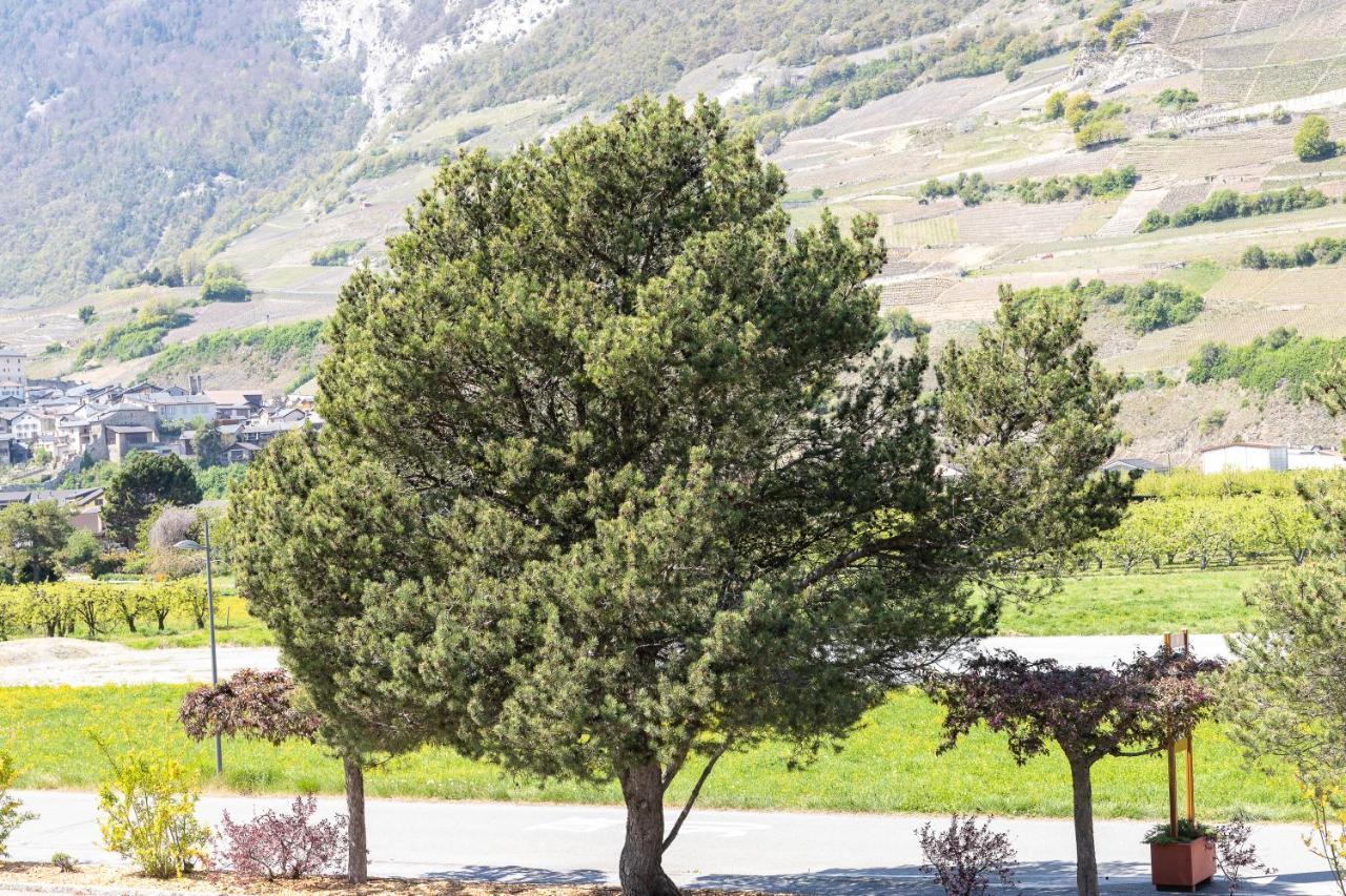 Un Moment De Detente Inoubliable Saillon-Les-Bain Exterior photo