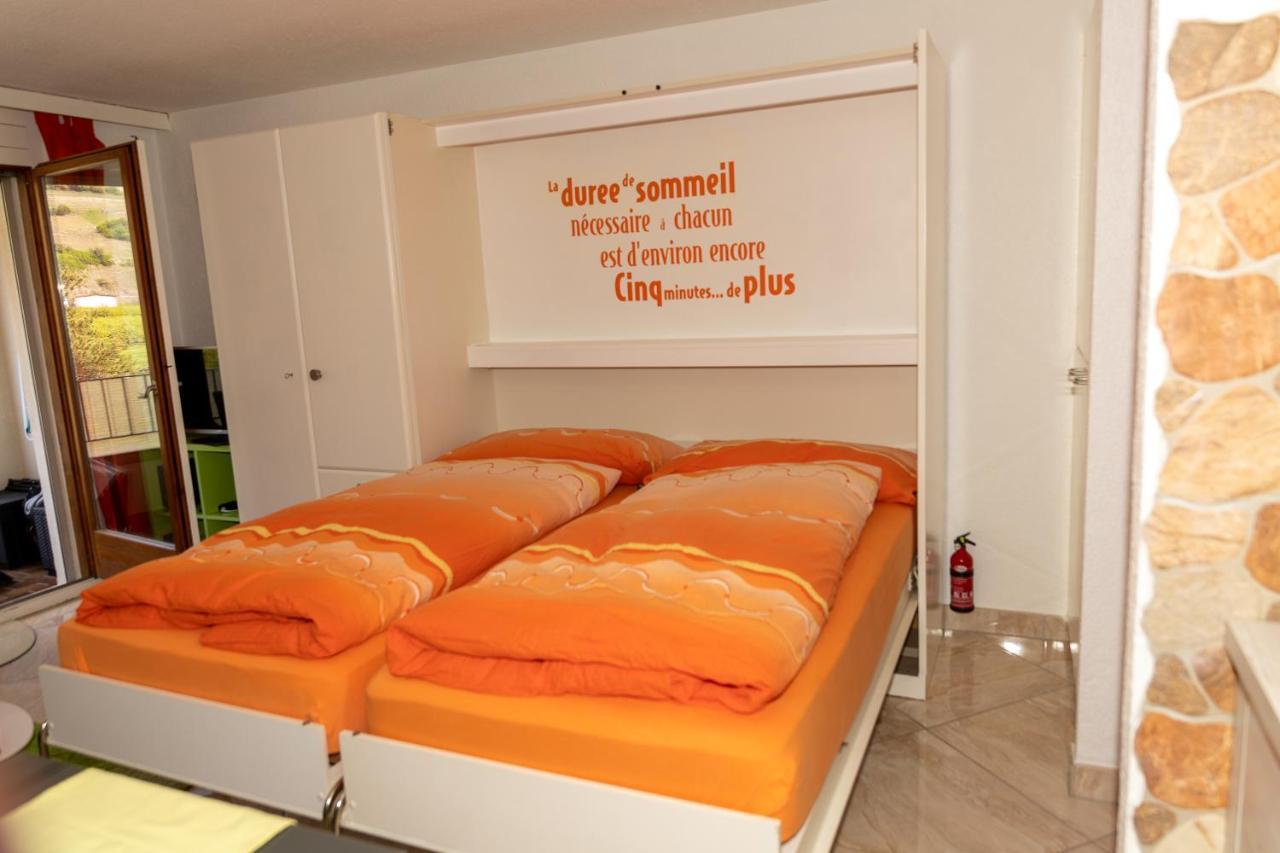 Un Moment De Detente Inoubliable Saillon-Les-Bain Exterior photo
