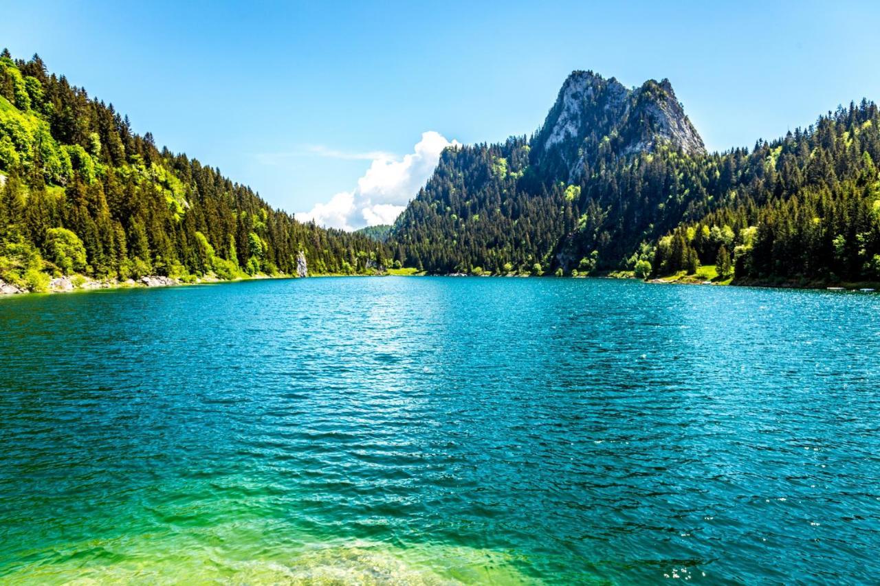 Un Moment De Detente Inoubliable Saillon-Les-Bain Exterior photo